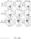 Fig. 112 - Binding proteins specific for RAS neoantigens and uses thereof