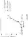 Fig. 116 - Binding proteins specific for RAS neoantigens and uses thereof