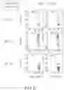 Fig. 16 - Binding proteins specific for RAS neoantigens and uses thereof