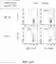 Fig. 17 - Binding proteins specific for RAS neoantigens and uses thereof