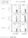 Fig. 20 - Binding proteins specific for RAS neoantigens and uses thereof