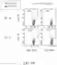 Fig. 21 - Binding proteins specific for RAS neoantigens and uses thereof