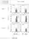 Fig. 22 - Binding proteins specific for RAS neoantigens and uses thereof