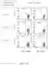 Fig. 33 - Binding proteins specific for RAS neoantigens and uses thereof