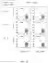 Fig. 37 - Binding proteins specific for RAS neoantigens and uses thereof
