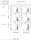 Fig. 38 - Binding proteins specific for RAS neoantigens and uses thereof
