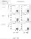 Fig. 40 - Binding proteins specific for RAS neoantigens and uses thereof