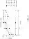 Fig. 42 - Binding proteins specific for RAS neoantigens and uses thereof