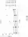 Fig. 43 - Binding proteins specific for RAS neoantigens and uses thereof