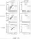 Fig. 50 - Binding proteins specific for RAS neoantigens and uses thereof