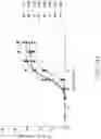 Fig. 64 - Binding proteins specific for RAS neoantigens and uses thereof