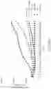 Fig. 70 - Binding proteins specific for RAS neoantigens and uses thereof