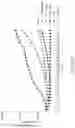 Fig. 74 - Binding proteins specific for RAS neoantigens and uses thereof