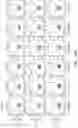 Fig. 93 - Binding proteins specific for RAS neoantigens and uses thereof