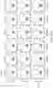 Fig. 95 - Binding proteins specific for RAS neoantigens and uses thereof