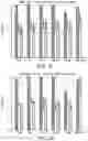 Fig. 04 - METHODS FOR DETECTING AND MODULATING THE EMBRYONIC-FETAL TRANSITION IN MAMMALIAN SPECIES