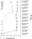 Fig. 07 - METHODS FOR DETECTING AND MODULATING THE EMBRYONIC-FETAL TRANSITION IN MAMMALIAN SPECIES