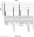 Fig. 50 - METHODS FOR DETECTING AND MODULATING THE EMBRYONIC-FETAL TRANSITION IN MAMMALIAN SPECIES
