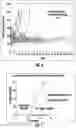 Fig. 07 - Compositions and methods for promoting islet viability and enhancing insulin secretion