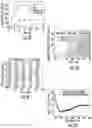 Fig. 04 - GLUCOSE-RESPONSIVE INSULIN DELIVERY MICRONEEDLE SYSTEM