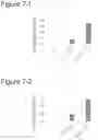 Fig. 06 - CANCER VACCINE FORMULATION