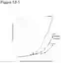 Fig. 12 - CANCER VACCINE FORMULATION