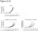 Fig. 29 - CANCER VACCINE FORMULATION