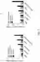 Fig. 02 - HUMAN VACCINE COMPOSITIONS AND METHODS FOR TREATING LEUKEMIA