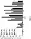 Fig. 04 - HUMAN VACCINE COMPOSITIONS AND METHODS FOR TREATING LEUKEMIA