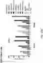 Fig. 11 - HUMAN VACCINE COMPOSITIONS AND METHODS FOR TREATING LEUKEMIA