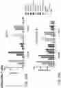 Fig. 12 - HUMAN VACCINE COMPOSITIONS AND METHODS FOR TREATING LEUKEMIA