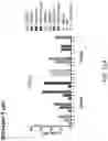 Fig. 13 - HUMAN VACCINE COMPOSITIONS AND METHODS FOR TREATING LEUKEMIA