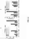 Fig. 15 - HUMAN VACCINE COMPOSITIONS AND METHODS FOR TREATING LEUKEMIA