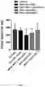 Fig. 07 - CANCER VACCINE COMPOSITIONS AND METHODS FOR USE THEREOF