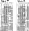 Fig. 06 - COMPOSITION AND PROCESS FOR PREPARING VACCINE