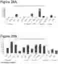 Fig. 34 - COMPOSITION AND PROCESS FOR PREPARING VACCINE