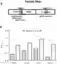 Fig. 01 - recombinanr xiexumapoeozoite protein compositions and method for vaccine delivery