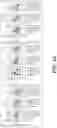 Fig. 11 - recombinanr xiexumapoeozoite protein compositions and method for vaccine delivery