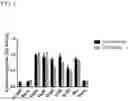 Fig. 05 - METHODS AND COMPOSITIONS FOR THE DIAGNOSIS, PROPHYLAXIS AND TREATMENT OF LYME DISEASE
