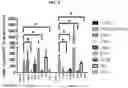 Fig. 06 - METHODS AND COMPOSITIONS FOR THE DIAGNOSIS, PROPHYLAXIS AND TREATMENT OF LYME DISEASE
