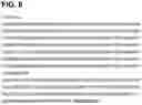 Fig. 89 - COMPOSITIONS AND METHODS FOR ELICITING AN IMMUNE RESPONSE AGAINST CLOSTRIDIUM DIFFICILE