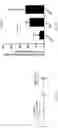 Fig. 05 - DNA vaccine for human papillomavirus and method for using the same