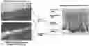 Fig. 01 - COMPOSITION FOR ADMINISTERING AND RELEASING OLIGONUCLEOTIDES