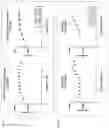 Fig. 13 - NEUROTROPHIC FACTOR PROTEIN CONJUGATES AND RELATED EMBODIMENTS