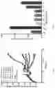 Fig. 15 - NEUROTROPHIC FACTOR PROTEIN CONJUGATES AND RELATED EMBODIMENTS