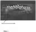 Fig. 03 - MACROMOLECULAR SYSTEM FOR DELIVERY OF EXOGENOUS ACTIVE SUBSTANCES WITH IMMUNE TRAP TO AVOID NEUTRALIZATION THEREOF