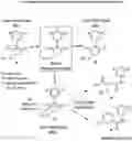 Fig. 01 - METHOD OF CONJUGATING A POLYPEPTIDE