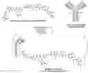 Fig. 03 - METHOD OF CONJUGATING A POLYPEPTIDE