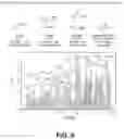 Fig. 07 - ADDITIVE SYSTEMS FOR USE IN PROTEIN PEGYLATION