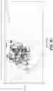 Fig. 27 - ADDITIVE SYSTEMS FOR USE IN PROTEIN PEGYLATION